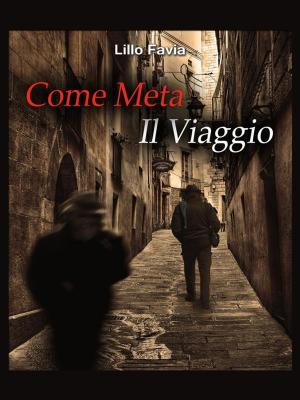 Cover of the book Come meta il viaggio by Кацярына Массэ