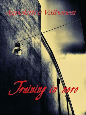 Book cover of Training in nero