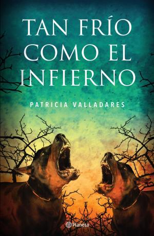 Cover of the book Tan frío como el infierno by Christian Wolmar