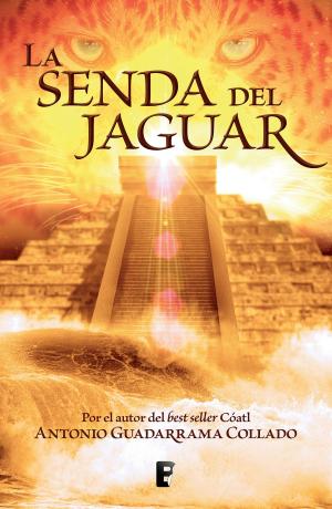 Cover of the book La senda del jaguar by Anabel Hernández