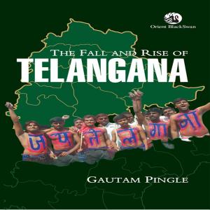 Cover of The Fall and Rise of Telangana