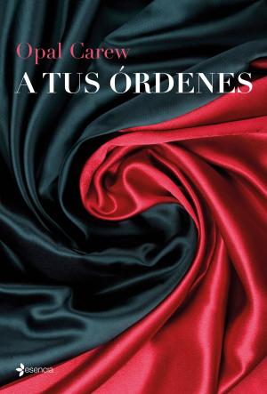 Cover of the book A tus órdenes by Megan Maxwell