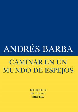 Cover of the book Caminar en un mundo de espejos by Barry Jablonski