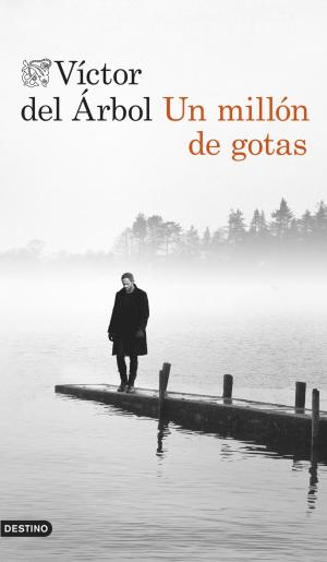 Cover of the book Un millón de gotas by Dolores Redondo