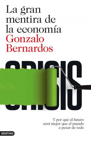 Cover of the book La gran mentira de la economía by Brenda Chávez