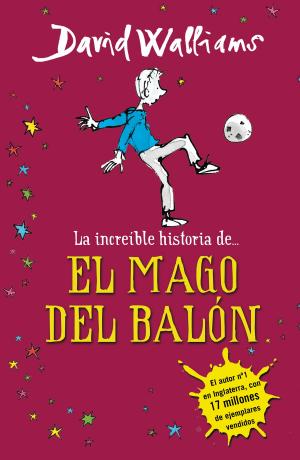 Cover of the book La increíble historia de... El mago del balón by Blanca Bk