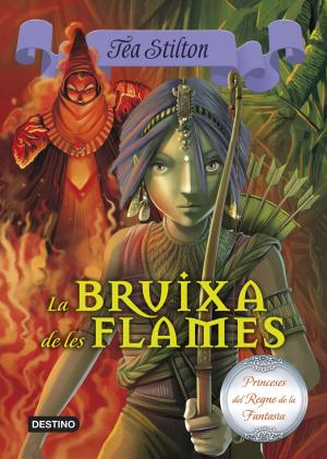 Cover of the book 8. La bruixa de les flames by Tea Stilton