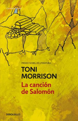Cover of the book La canción de Salomón by Nieves Hidalgo