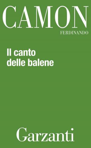 Book cover of Il canto delle balene