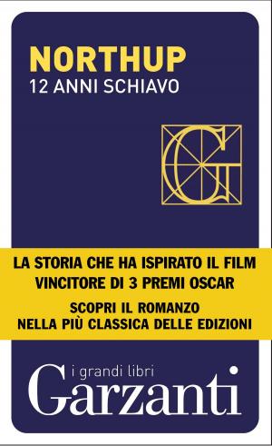 Cover of the book 12 anni schiavo by Caterina Bonvicini