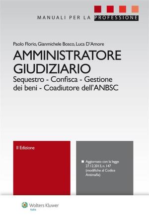 Cover of the book Amministratore giudiziario by Massimo Simone