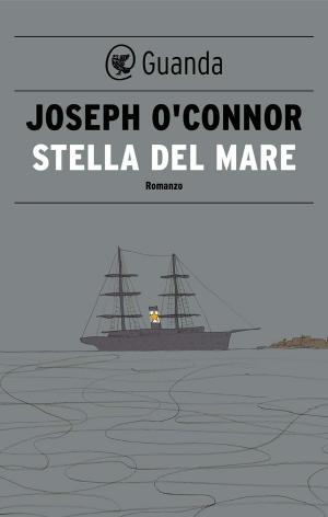 Cover of the book Stella del Mare by Klaartje de Zwarte-Walvisch