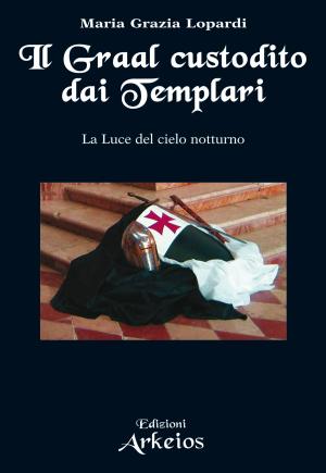 Book cover of Il Graal custodito dai Templari