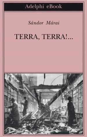 Cover of the book Terra, terra!... by James Hillman