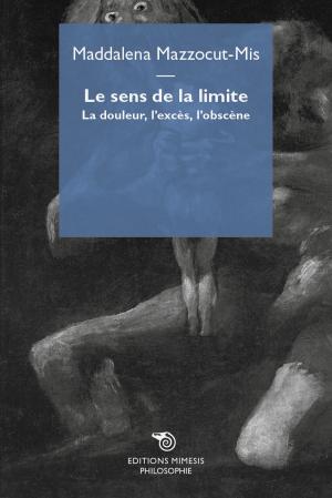 Cover of the book Le sens de la limite by Alain Badiou, Giovanbattista Tusa
