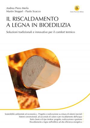 Book cover of Il riscaldamento a legna in bioedilizia