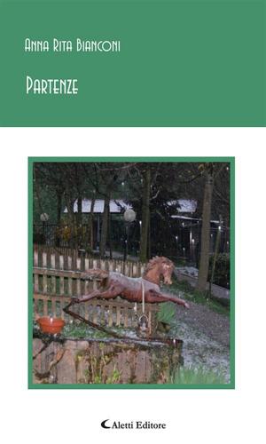 Cover of the book Partenze by Angelo Di Simone, Dardana Berdyna, Caterina Battilana, Marcello Barni, Ettore Ascheri, Corrado Aiello