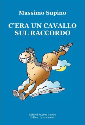 Cover of the book C’era un cavallo sul raccordo by Franco Politano