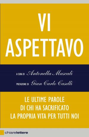 Cover of the book Vi aspettavo by Giovanni Fasanella, Mario José Cereghino