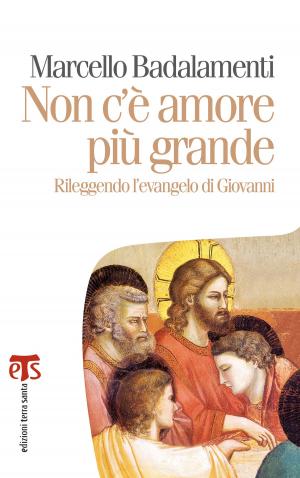 Cover of the book Non c’è amore più grande by Pierbattista Pizzaballa, Romano Prodi