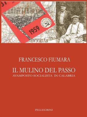 Cover of the book Il Mulino Del Passo by Luca Ribustini