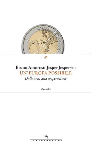 Book cover of Un'Europa possibile