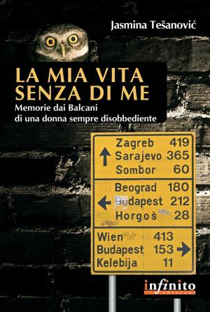 Cover of the book La mia vita senza di me by Daniele Zanon, Marco Cortesi