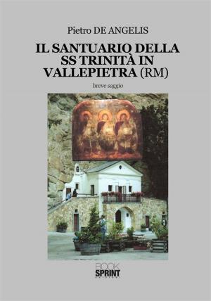 Cover of the book Il Santuario della SS Trinità in Vallepietra (RM) by Francesco Siciliano