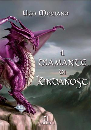 Book cover of Il diamante di Kindanost