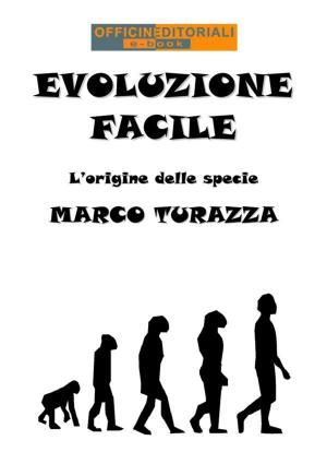 Book cover of Evoluzione Facile