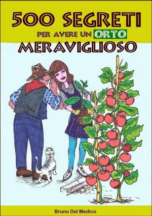 Cover of the book 500 segreti per avere un orto meraviglioso by Bruno Del Medico