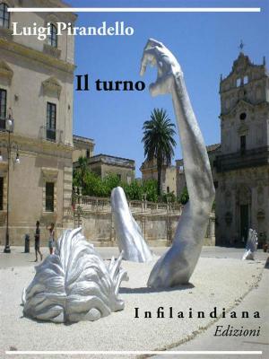 Book cover of Il turno