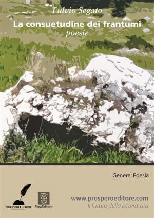 Cover of the book La consuetudine dei frantumi by Nivangio Siovara
