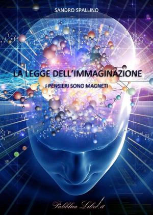 Book cover of La Legge della Immaginazione