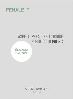 Cover of the book Aspetti penali dell'ordine pubblico di polizia by Giuseppe Verdi, Silvano Agosti, Francesco Maria Piave