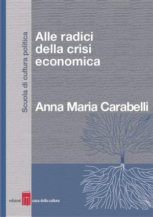 Cover of Alle radici della crisi economica