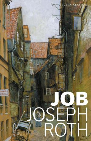 Cover of the book Job by Carolijn Visser