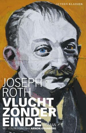 Cover of the book Vlucht zonder einde by Josette Dijkhuizen