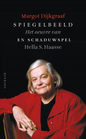 Cover of the book Spiegelbeeld en schaduwspel by K. Schippers