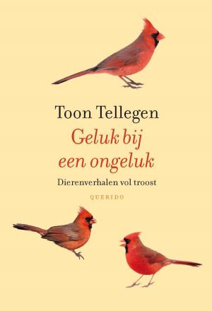 Cover of the book Geluk bij een ongeluk by Fred Saueressig