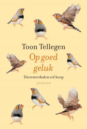 Cover of the book Op goed geluk by Simon van der Geest