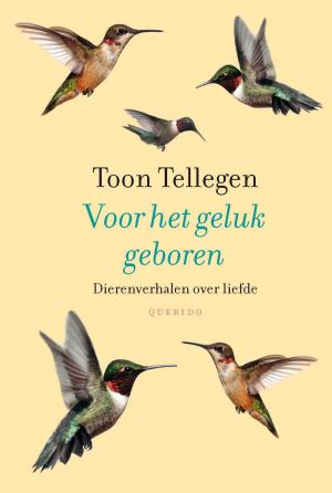 Cover of the book Voor het geluk geboren by Toon Tellegen