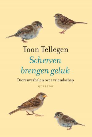 Cover of the book Scherven brengen geluk by Chris Rippen