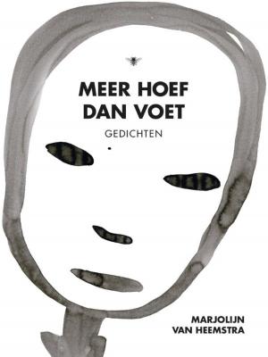 Cover of the book Meer hoef dan voet by Amos Oz