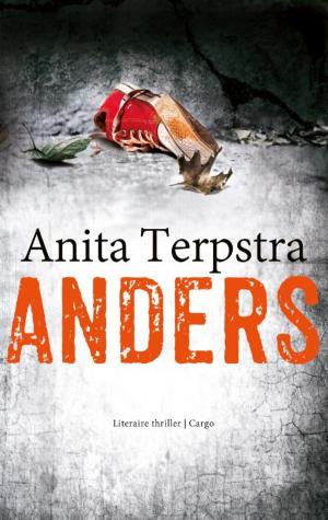Cover of the book Anders by Jan Campert
