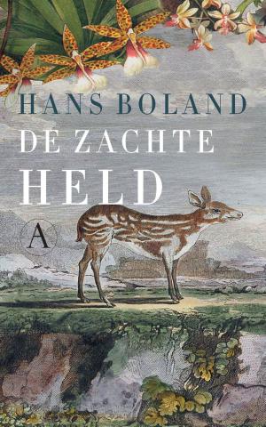 Cover of the book De zachte held by Johanna Spaey