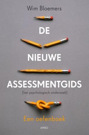 Cover of the book De nieuwe assessmentgids by Nancy Cetel, Joseph Weiss