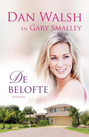 Cover of the book De belofte by Joke Verweerd