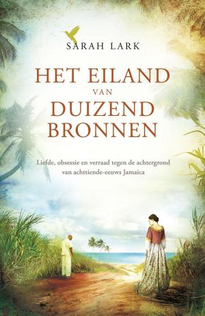 Book cover of Het eiland van duizend bronnen