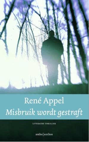 Cover of the book Misbruik wordt gestraft by V. C.安德魯絲(V. C. Andrews)
